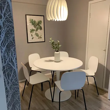 Apartment Viihtyisa, Puhdas 2h+k, Pikkukoti Keskustassa